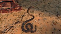 Rattlesnake.jpg