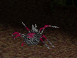 Tallspider.jpg