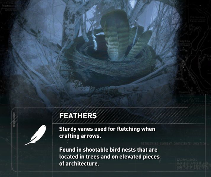 File:Feathers.jpg