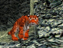 Tiger tr2.jpg
